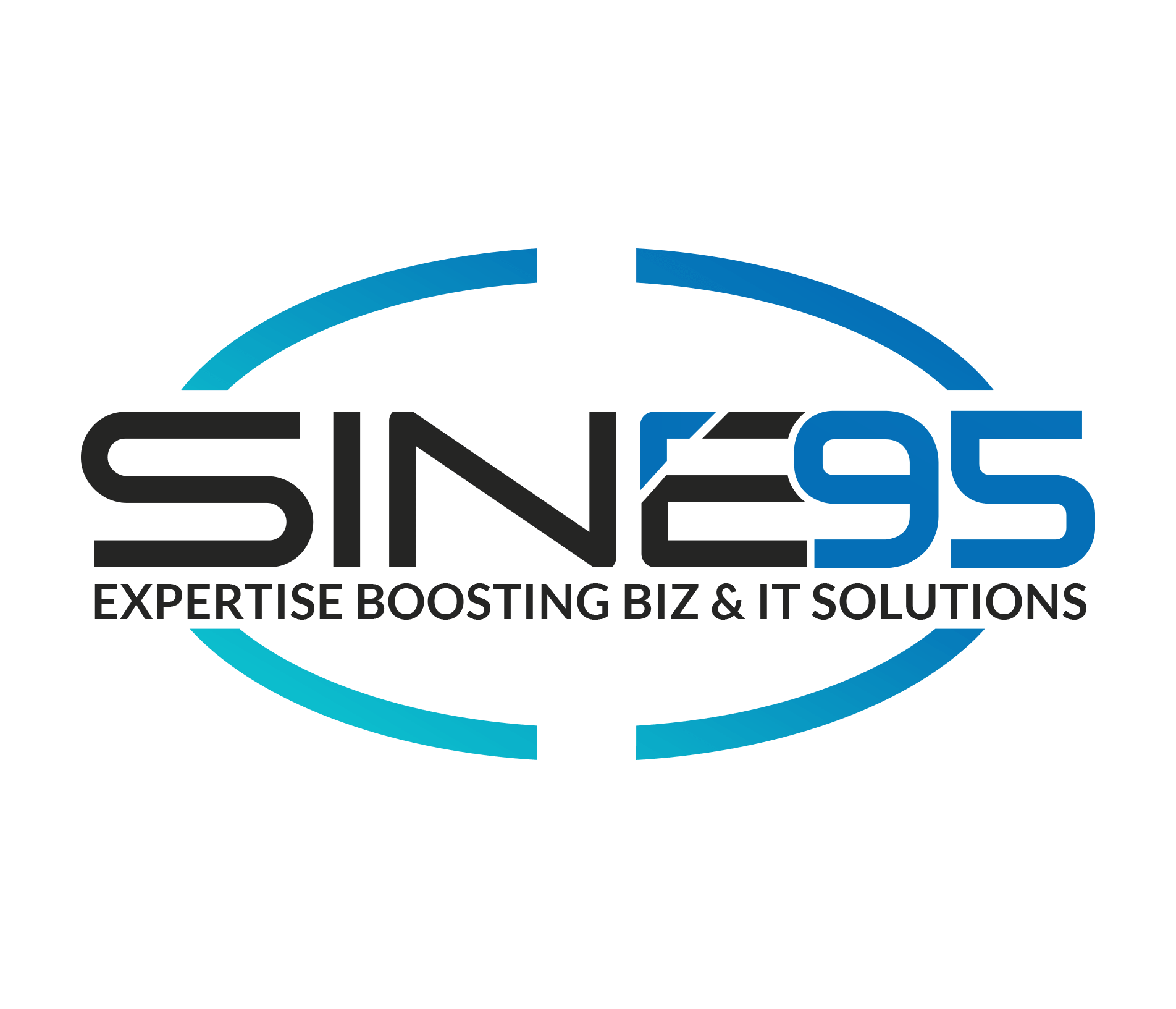 Logo Sine95 Expertise Boostings BIZ & IT Solutions
